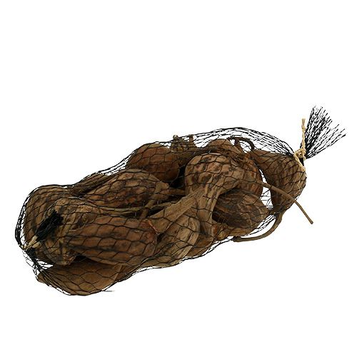 Floristik24 Baobab mini skalad naturlig 8cm - 12cm 250g