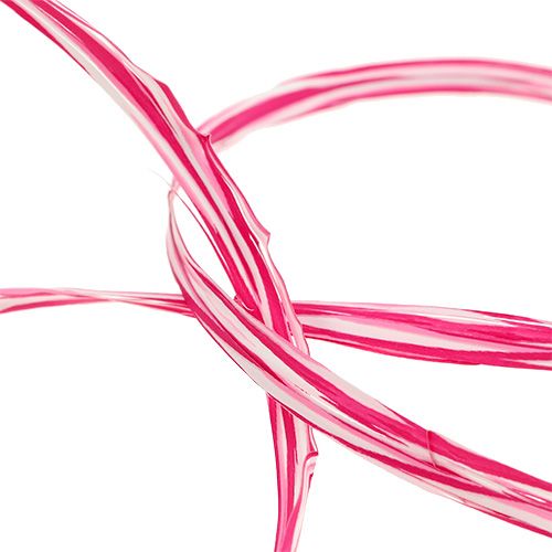 Floristik24 Bast som presentband rosa-vit 200m