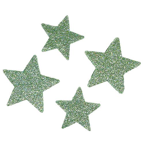 Floristik24 Hantverksstjärnor mintgrön 4-5cm 40st