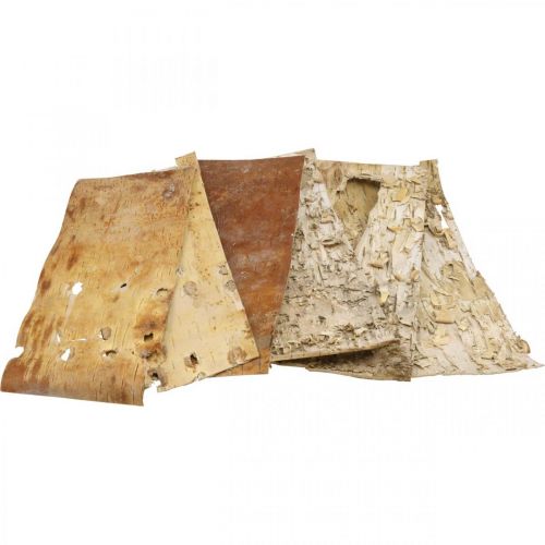 Floristik24 Trädbark dekorativa barklister naturlig björkbark 30×12cm 6 st
