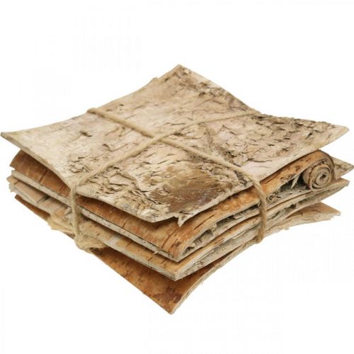 Floristik24 Trädbark dekorativ bark fyrkantig björkbark naturell 10×10cm 6 st
