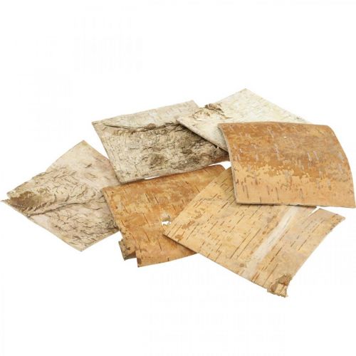 Floristik24 Trädbark dekorativ bark fyrkantig björkbark naturell 10×10cm 6 st