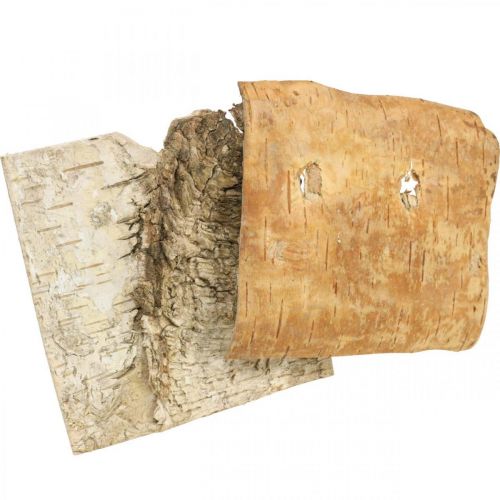 Floristik24 Trädbark dekorativ bark fyrkantig björkbark naturell 10×10cm 6 st