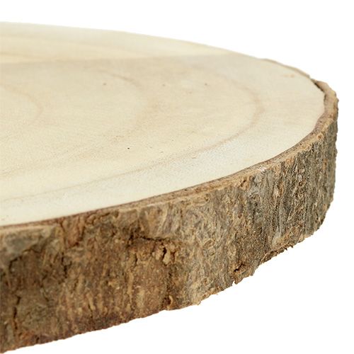 Floristik24 Trädskiva natur Ø20cm - 30cm