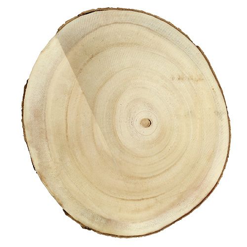 Floristik24 Trädskiva natur Ø20cm - 30cm