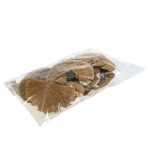 Floristik24 Trädsvamp natur 500g