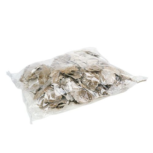 Artikel Trädsvamp vittvättad 1kg