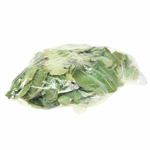 Artikel Trädsvamp grön vit tvättad 1kg