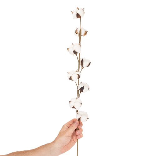 Konstgjord bomullskvist med 8 riktiga blommor, 78 cm | Floristik24.se