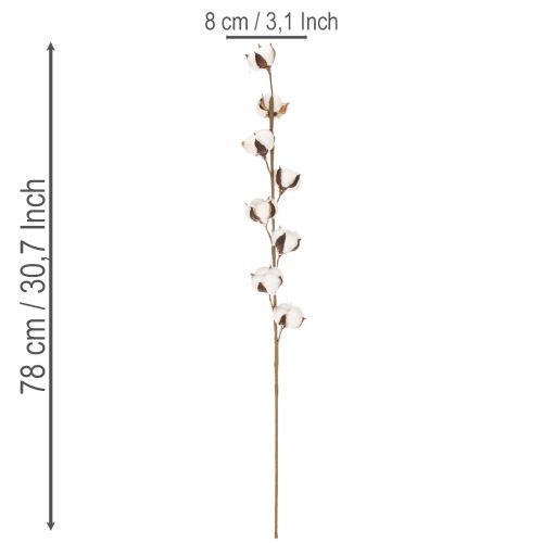 Konstgjord bomullskvist med 8 riktiga blommor, 78 cm | Floristik24.se
