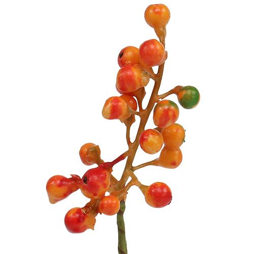 Floristik24 Gäng bär apelsin L20cm