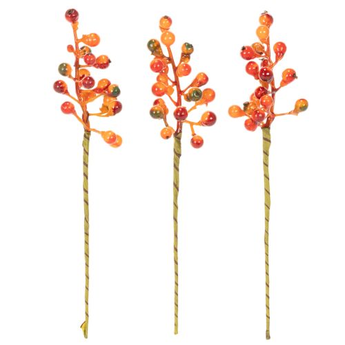 En knippe apelsinbär, 20 cm långa | Floristik24.se
