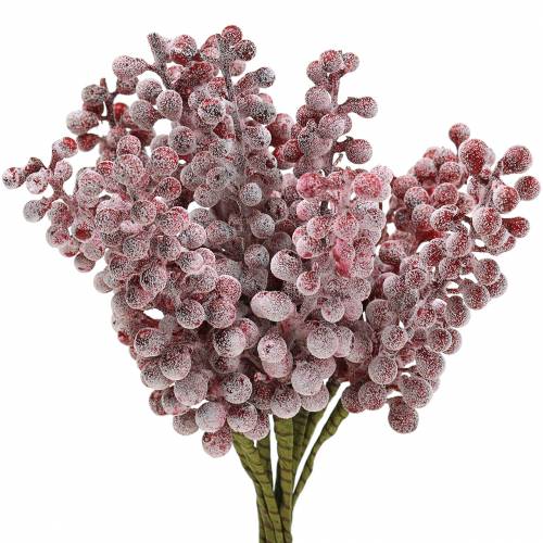 Floristik24 Bärplock röd, isglas 21cm 12 st