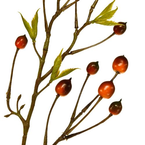 Floristik24 Bärgren röd konstgjord konstgren deco-gren 82cm