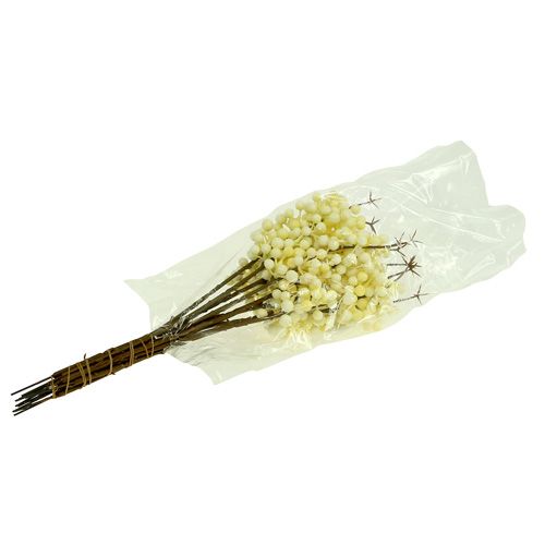 Artikel Berry gren kräm L30cm 12st