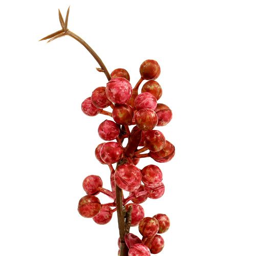 Floristik24 Bärgren rosa L 28cm 12st