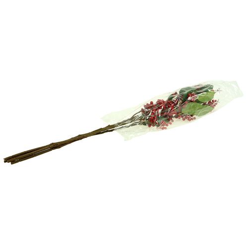 Floristik24 Bärgren röd 63 cm 4st