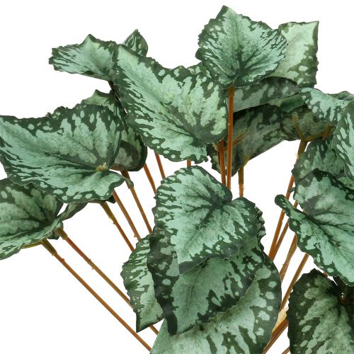 Floristik24 Konstgjord begonia buskgrön 30 cm
