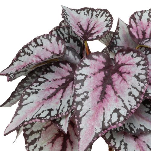 Floristik24 Konstgjord begoniabuske Bordeaux 37cm