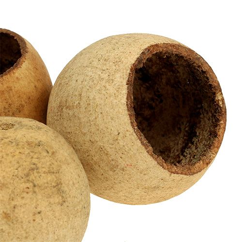 Artikel Bell Cup liten natur 25 st