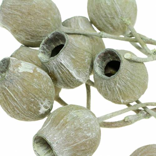 Artikel Bellgum gren 5cm - 7cm grön frostad 20 st