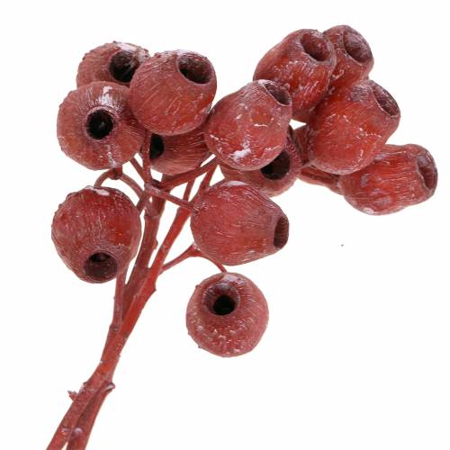 Artikel Bellgum gren 5cm - 7cm röd frostad 20 st