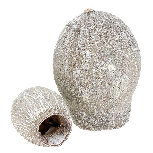 Artikel Bellgums vitkalkade 2cm - 5cm 500g