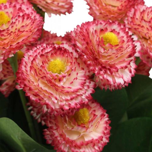 Artikel Konstgjord blomma, konstgjord bellis i ett gäng, prästkragar vit-rosa L32cm 10 st
