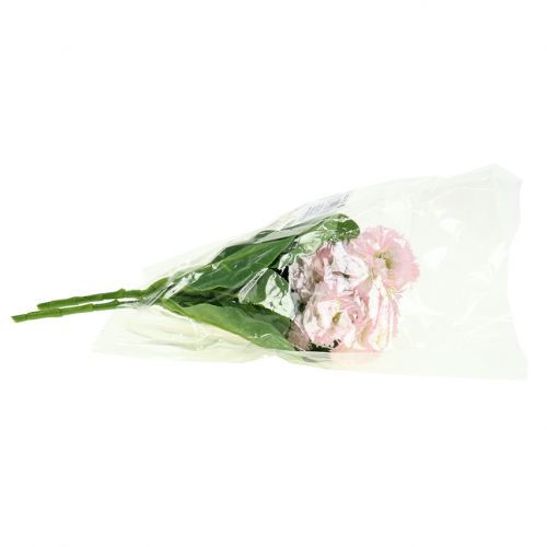 Artikel Bellisbund ljusrosa 24cm 2st