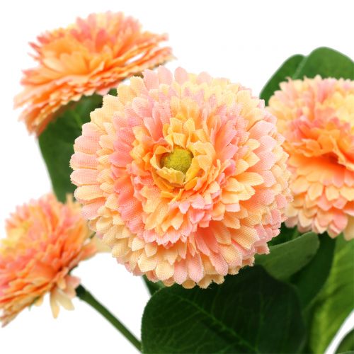 Floristik24 Daisy konstgjord persika färgad 24cm 2st