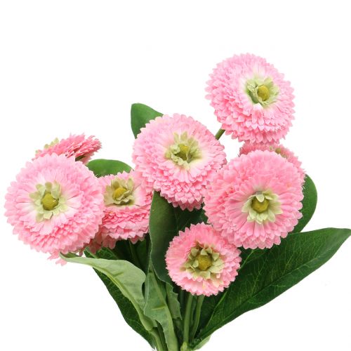 Floristik24 Bellis grupprosa 24 cm 2st