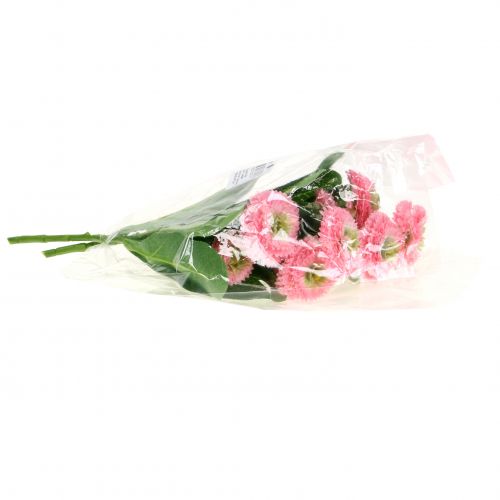 Floristik24 Bellis grupprosa 24 cm 2st