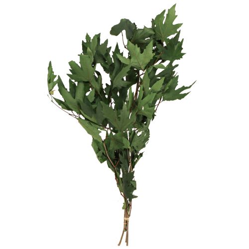 Artikel Sycamore grenar blad dekorativa lönnlöv gröna 50-60cm 100g