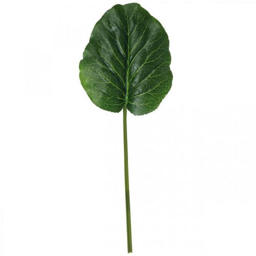 Artikel Konstgjord grön växt Bergenia Grön Konstgjord växt 53cm