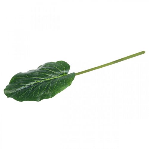 Artikel Konstgjord grön växt Bergenia Grön Konstgjord växt 53cm