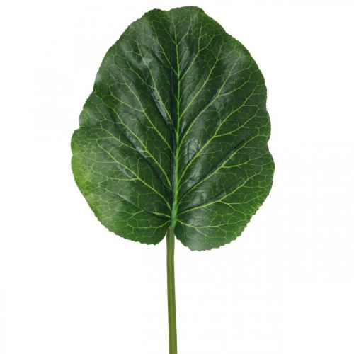 Konstgjord grön växt Bergenia Grön Konstgjord växt 53cm