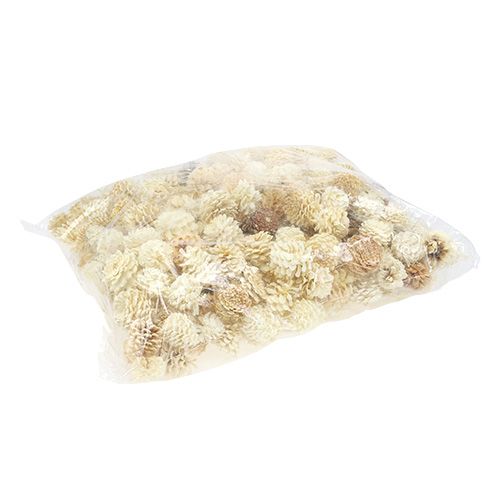 Floristik24 Bergkottar små blekta 3,5-5cm 1kg