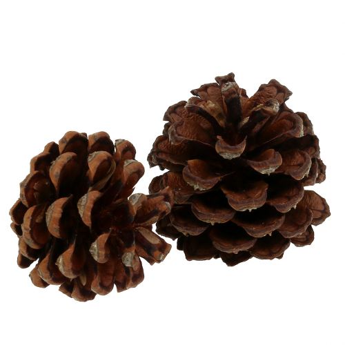 Artikel Bergkottar små naturliga 1kg