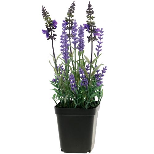 Floristik24 Konstgjord lavendel i kruka H25cm