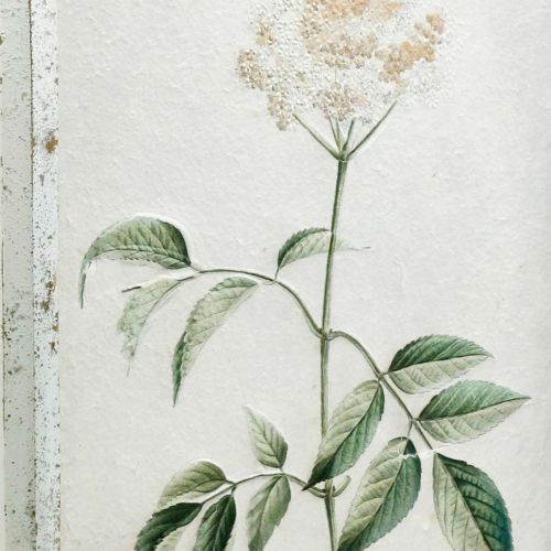 Artikel Bild med shabby chic träram, blomväggdekoration 40×50cm