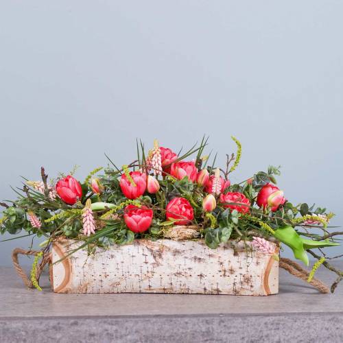 Floristik24 Växtlåda björk med rephandtag 38x16cm H9cm