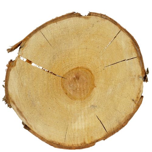 Floristik24 Björkskiva naturlig Ø30cm - 35cm