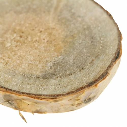 Floristik24 Björkskivor rund natur 5cm 1kg för dekoration med bark