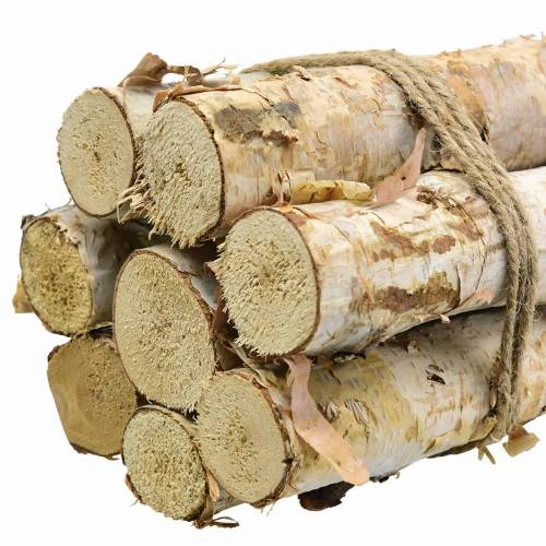 Floristik24 Björkgrenar bundna naturliga 40cm