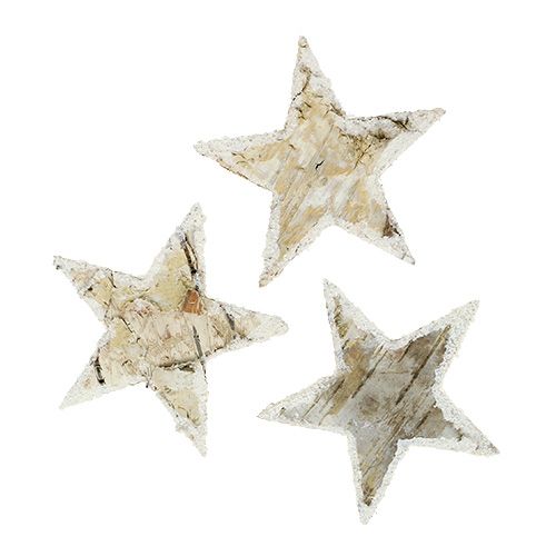 Floristik24 Björkstjärnor natursnötäckta 6,5cm 30 st
