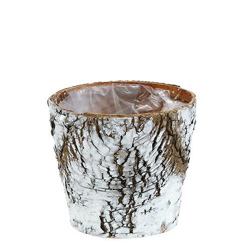 Björkkruka liten kruka björk vit Ø10cm H8,5cm 6 st