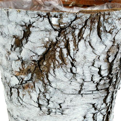 Artikel Björkkruka medium växtkruka björkvit Ø12cm H10,5cm 4 st