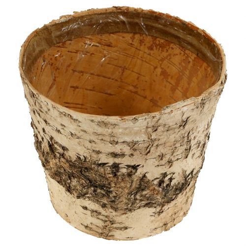 Artikel Björkkruka Ø15cm H13cm