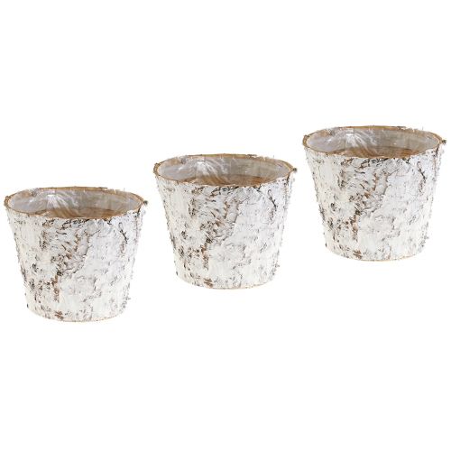 Floristik24 Kruka med vit björkbark växtkruka Ø15cm H12,5cm 3 st