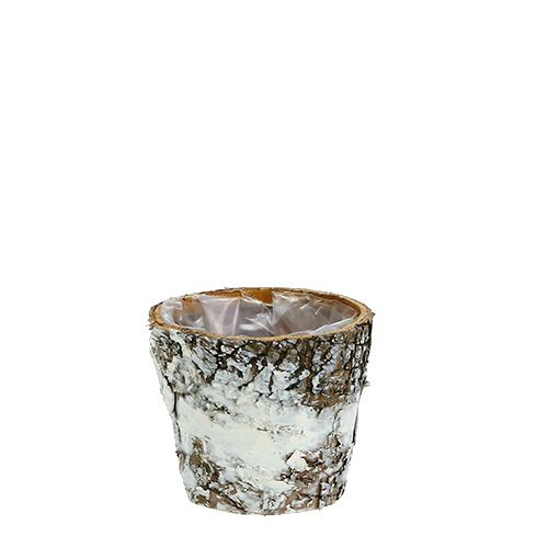 Björkkruka mini vit växtkrukkruka Ø7cm H7cm 10st